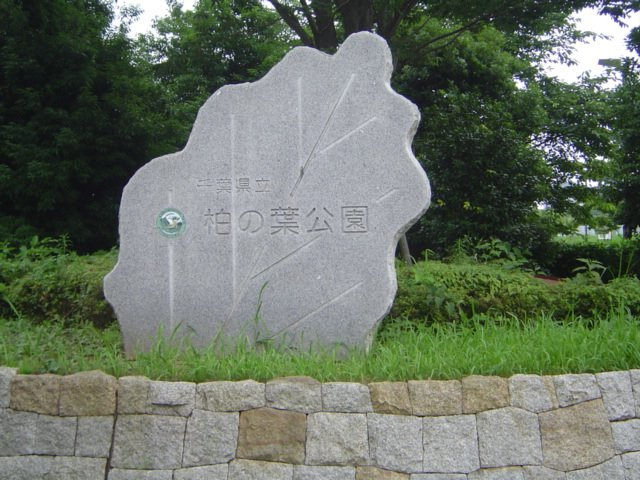 グランドメゾンの周辺|柏の葉公園まで1,400ｍ