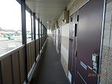 レオパレス敏のその他