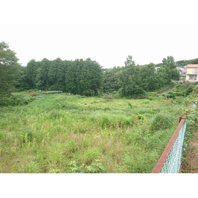 小針戸建のその他