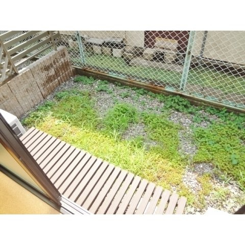 メゾントワのその他