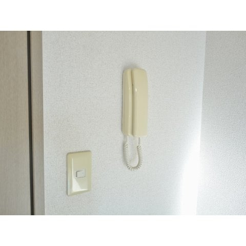エヴァーグリーンのその他