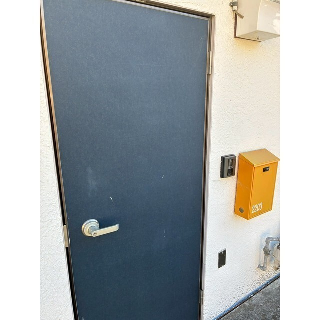 アレスバルト来光川のその他