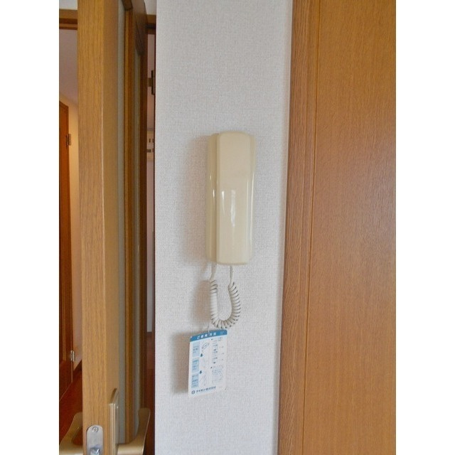 シャンノールのその他
