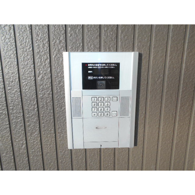Ｃｏｍｏｄｏ　Ｓａｔｓｕｋｉのその他