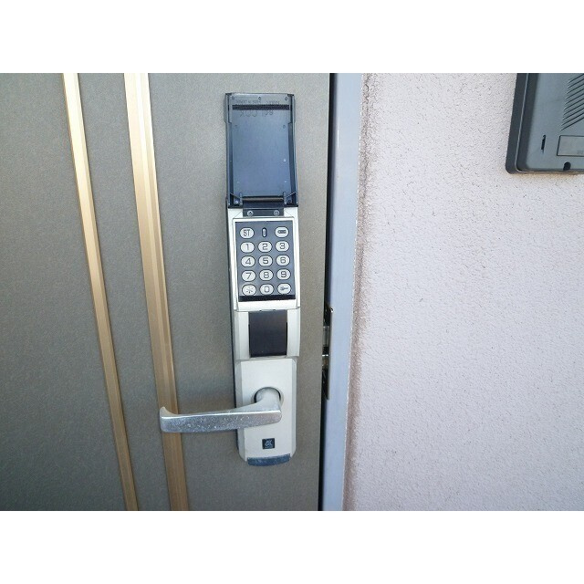 ツリーベルズのその他