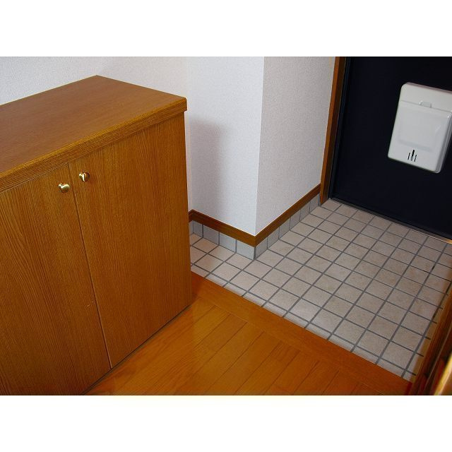 ヴィブレつばさⅡの玄関