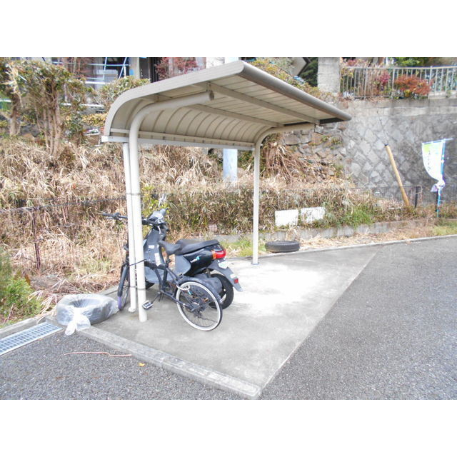 みかんのその他