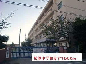 ミレニアムＫ・Ｔの周辺