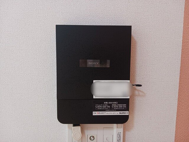 ラフレシール・ＳⅡのその他