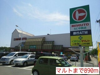 バック・パディ・フィールドの周辺|マルトまで890m