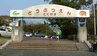 【周辺】 | 周南市徳山動物園まで700m