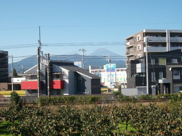 アドミラーブルの展望