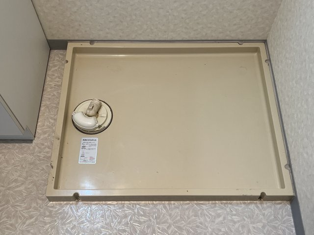 グローバル高田のその他