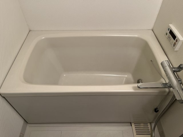 グローバル高田の浴室