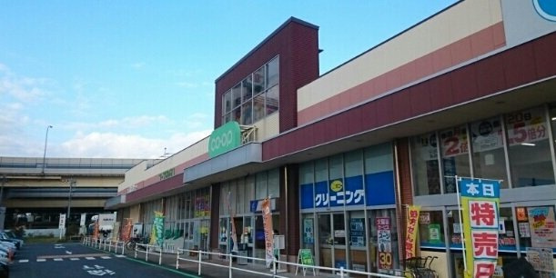 ハイグレイス５番館の周辺|コープ東寺山まで1600m