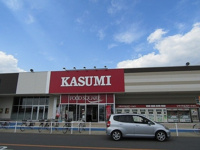 カスミライフガーデン店まで1000m