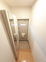 落ち着いた玄関です