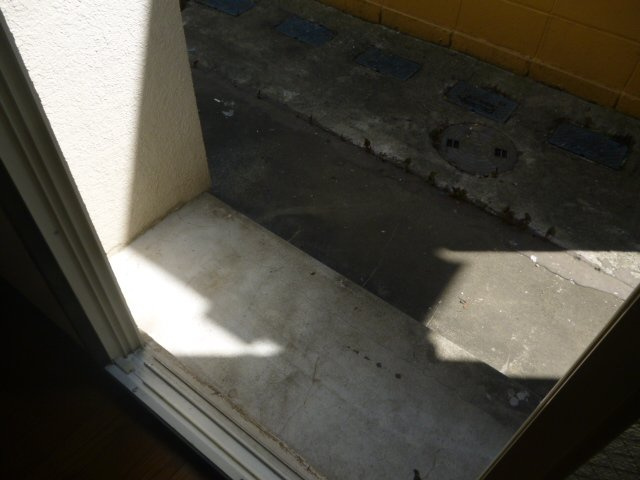 お庭で自由な時間を過ごせます