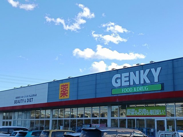 サニー　ヴィラＢの周辺|ゲンキー　犬山五郎丸店まで421m