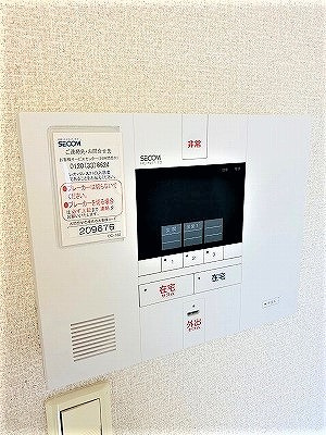 レオネクストパークサイドヒルⅡのセキュリティ