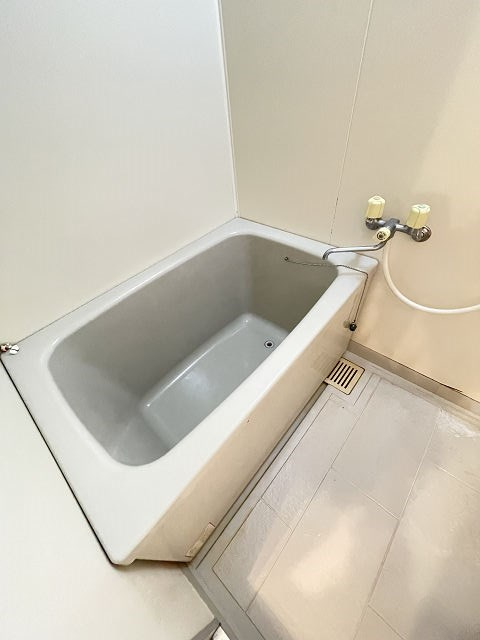 フォワイエセレストの浴室
