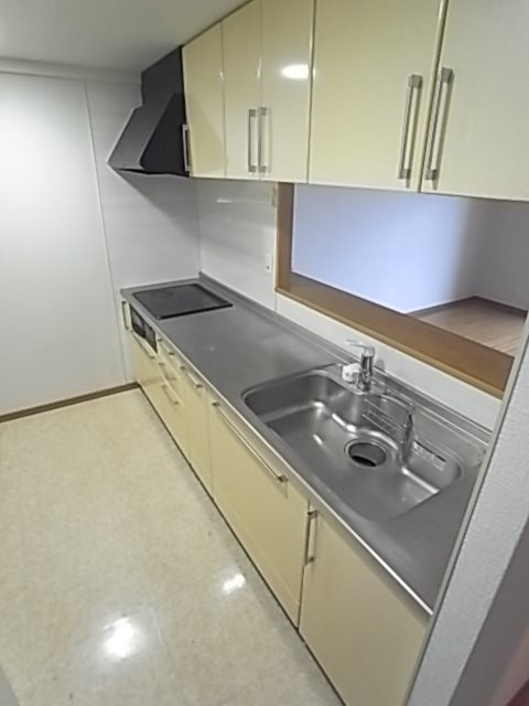 ベヌスタ　ル　ロッチェのキッチン