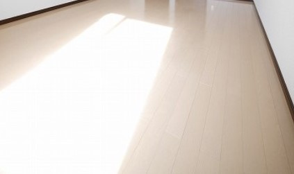 横浜市保土ケ谷区保土ケ谷町１丁目のアパートの居間・リビング