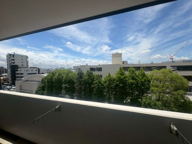 ロイヤルカーサ江坂東の展望