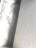 ※同じシリーズの室内写真 