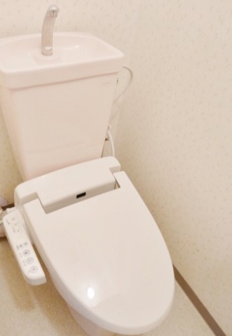 相模原市緑区橋本７丁目の賃貸マンションのトイレ