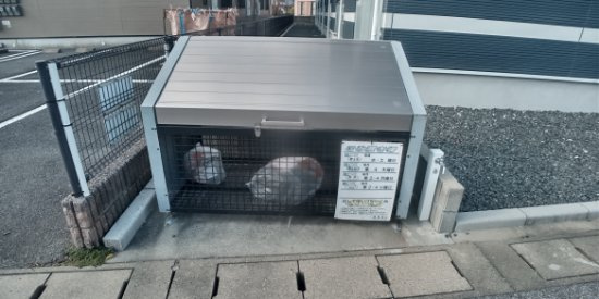 レオネクスト松の本のその他