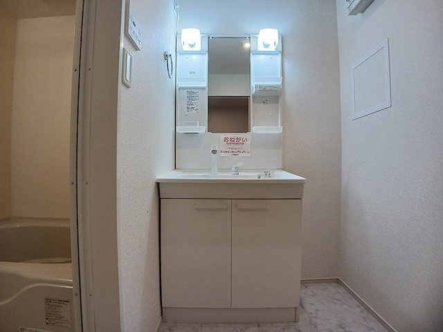 エクセレント本城Ｂの洗面所