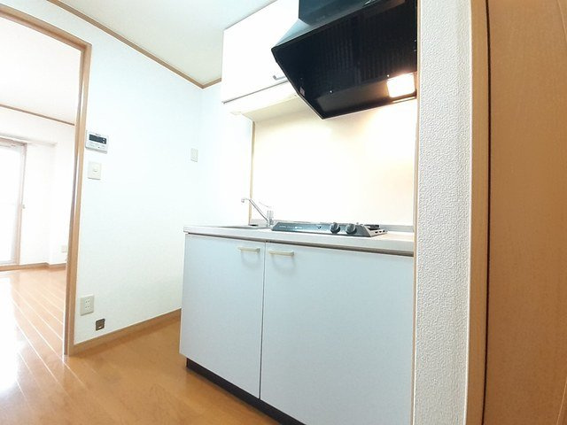 グランド・コスモのキッチン