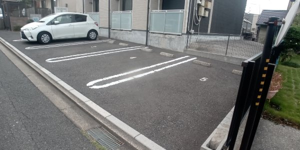 レオネクストウラノスのその他