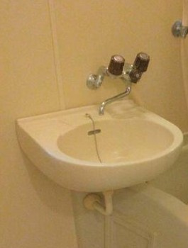 ルミエール南林間の洗面所