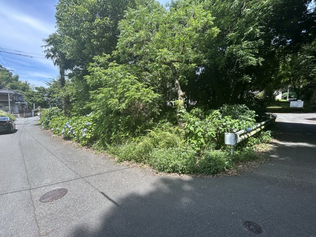 山川町土地の周辺