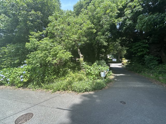 山川町土地の周辺