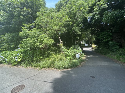 【周辺】 | 山川町土地
