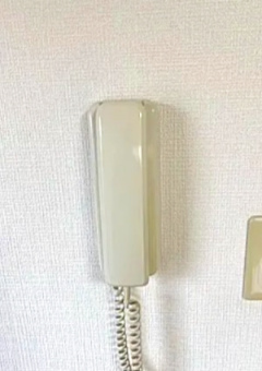 さいたま市南区白幡３丁目の賃貸マンションのセキュリティ|※別部屋参考写真