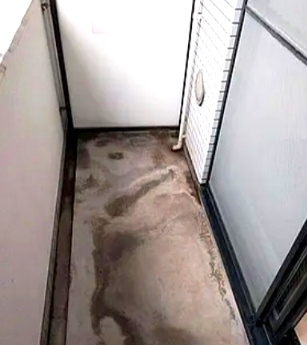 さいたま市南区白幡３丁目の賃貸マンションのバルコニー|※別部屋参考写真