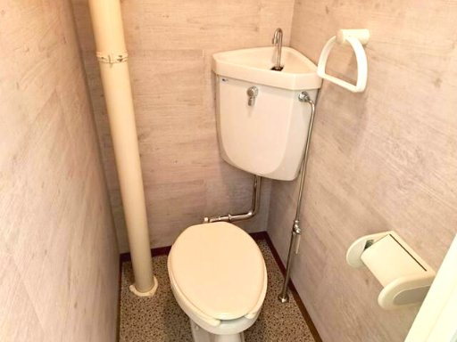 さいたま市南区白幡３丁目の賃貸マンションのトイレ|※別部屋参考写真