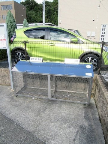 シェトラーゼのその他