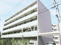 Ｒｉｓｉｎｇ　ｐｌａｃｅ綾瀬の画像