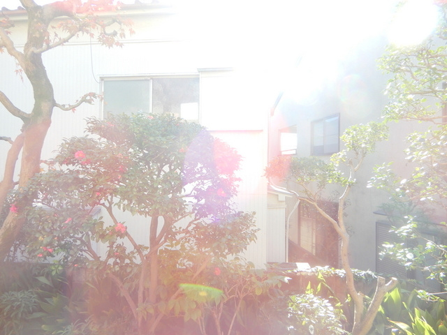 Ｍ’ｓ Ｈｏｕｓｅの展望