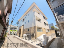 シエロヒガシハゴロモの画像