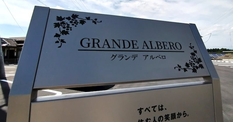 GRANDE ALBERO　B 