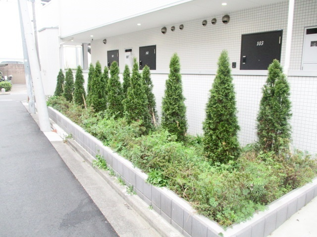 ｂ’ＣＡＳＡ志茂のその他|素敵な植栽です☆