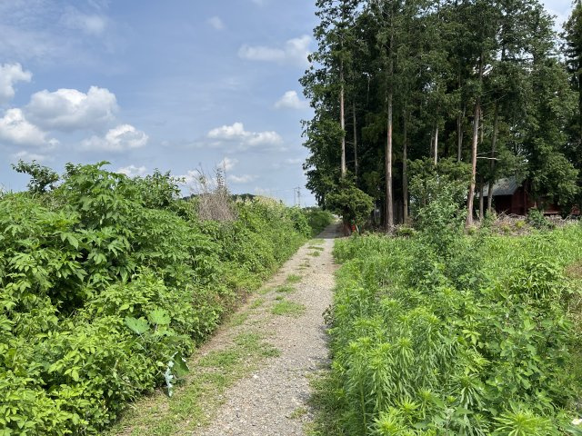 三拝川岸貸地の周辺|南西側接道