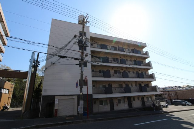 ソフイア朝霧