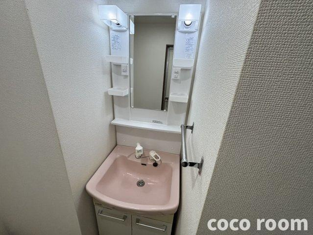 カーサクレイⅡの洗面所